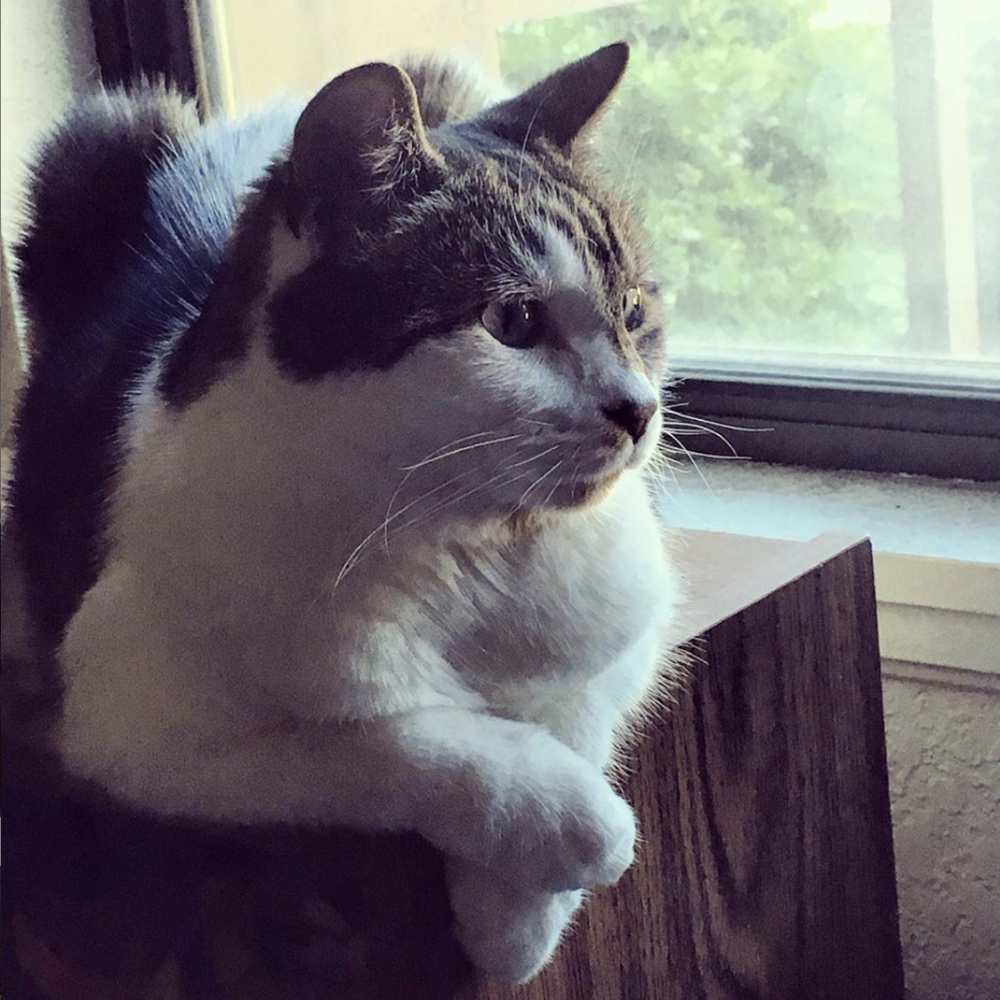 Meet your Posher, Karissa